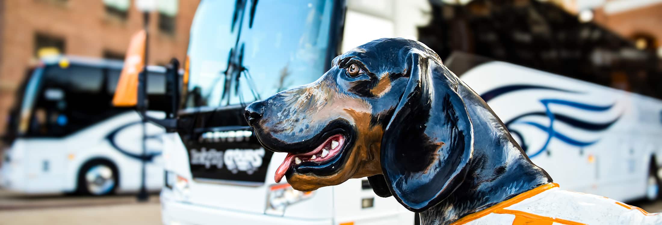 A face of a Smokey mascot dog statue shows in front of 2 coach busses parked at Neyland Stadium.