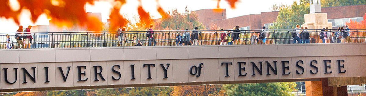 An image of the Pedestrian Bridge that connects The Hill to the Student Union. Many students are walking across the bridge with their backpacks on. Orange leaves are pictured in the top left corner, but they are out of focus.