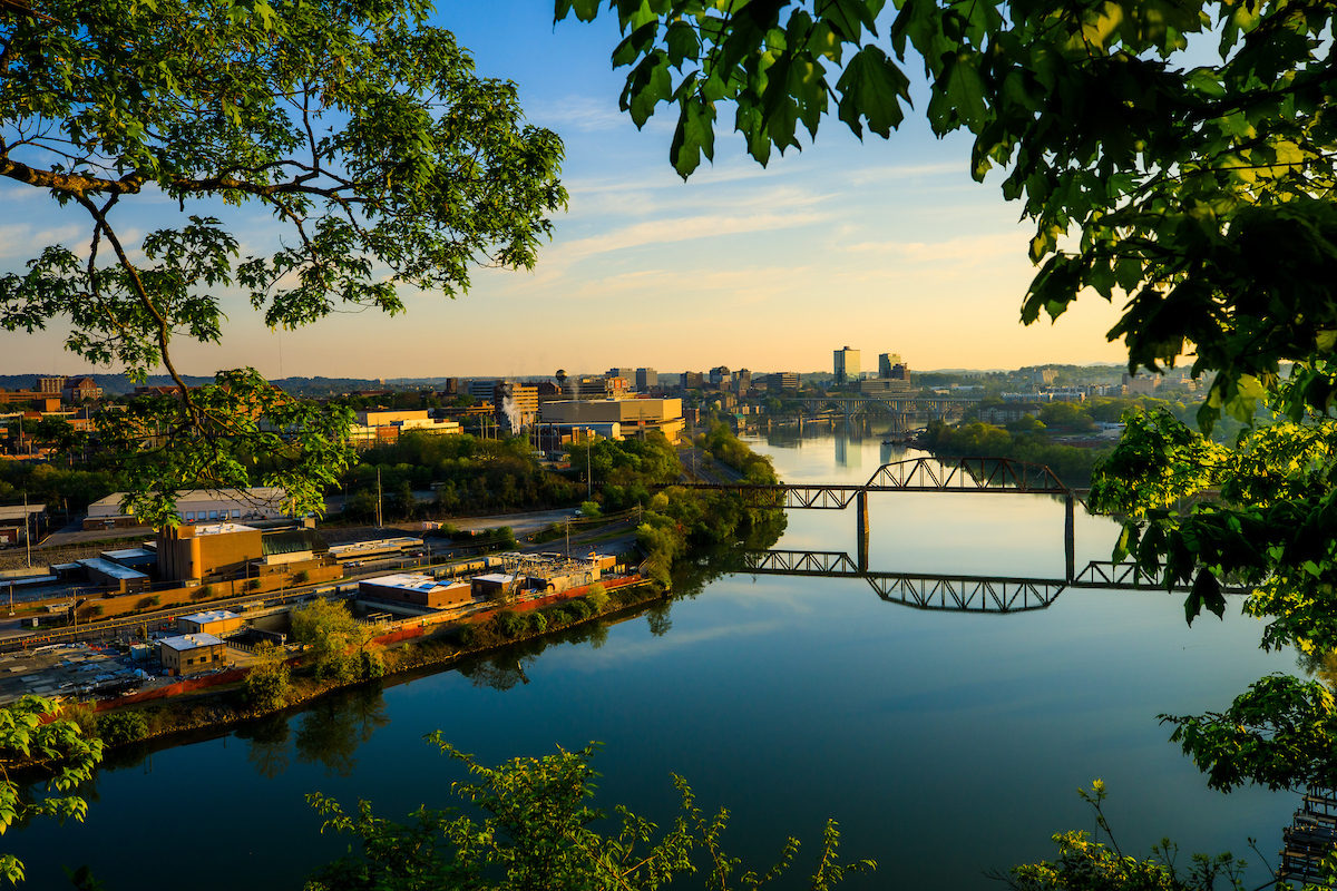 Horizontal image of Knoxville, Tennessee, which includes an elevated view of the city. This includes famous landmarks, such as the Sunsphere, the two bridges, and Thompson Bowling arena. In the top left and right corners, there are various leaves from different trees.