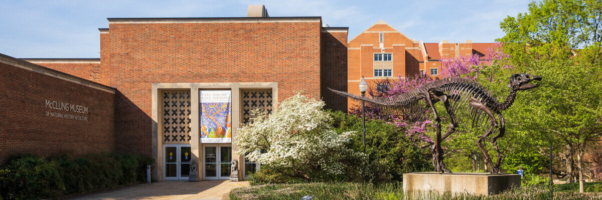 Extrior entrance photo of McClung Museum building on April 11, 2019. Photo by Steven Bridges