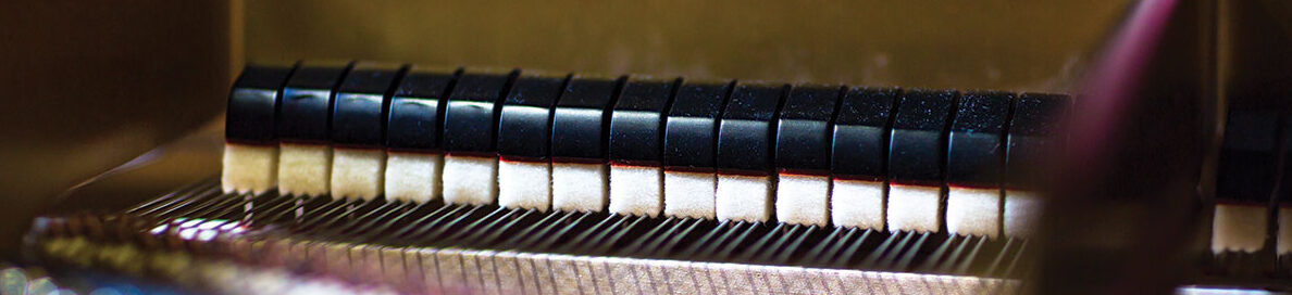 A closeup of the interworking of a piano