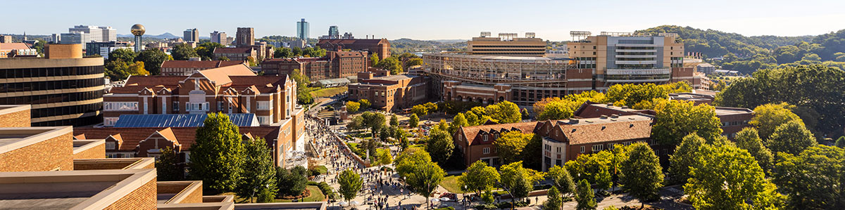 A faraway view overlooking campus