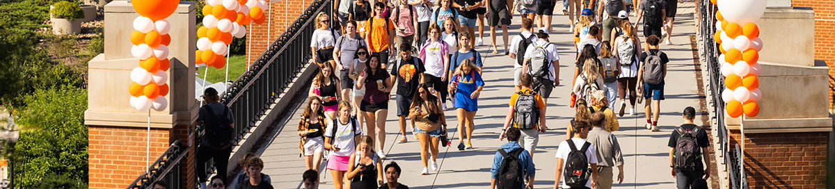 All students walking to and from class on Pedestrian bridge