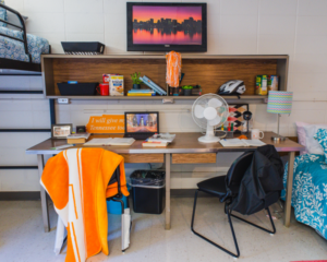 Two desks with belongings on it during move in