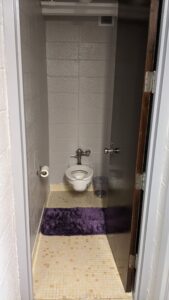 The toilet with a purple floor mat