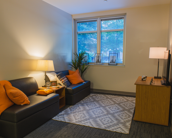 A living area with natural lighting, leather chairs on either side of the nightstand and orange pillows