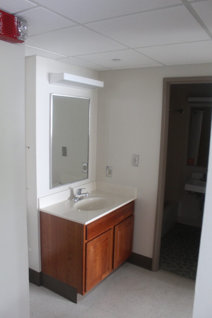 The bathroom sink that has a vertical rectangular mirror above it and a lamp. The sink has built in storage underneath in a brown wood color