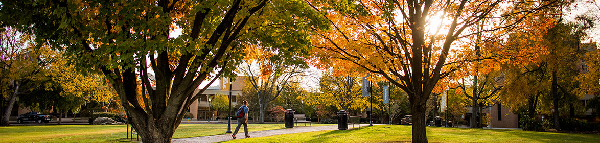 One individual walking through Circle Park during a sunny autumnal afternoon.