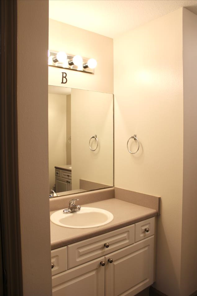 Empty bathroom showing the sink and mirror in Vol Hall.