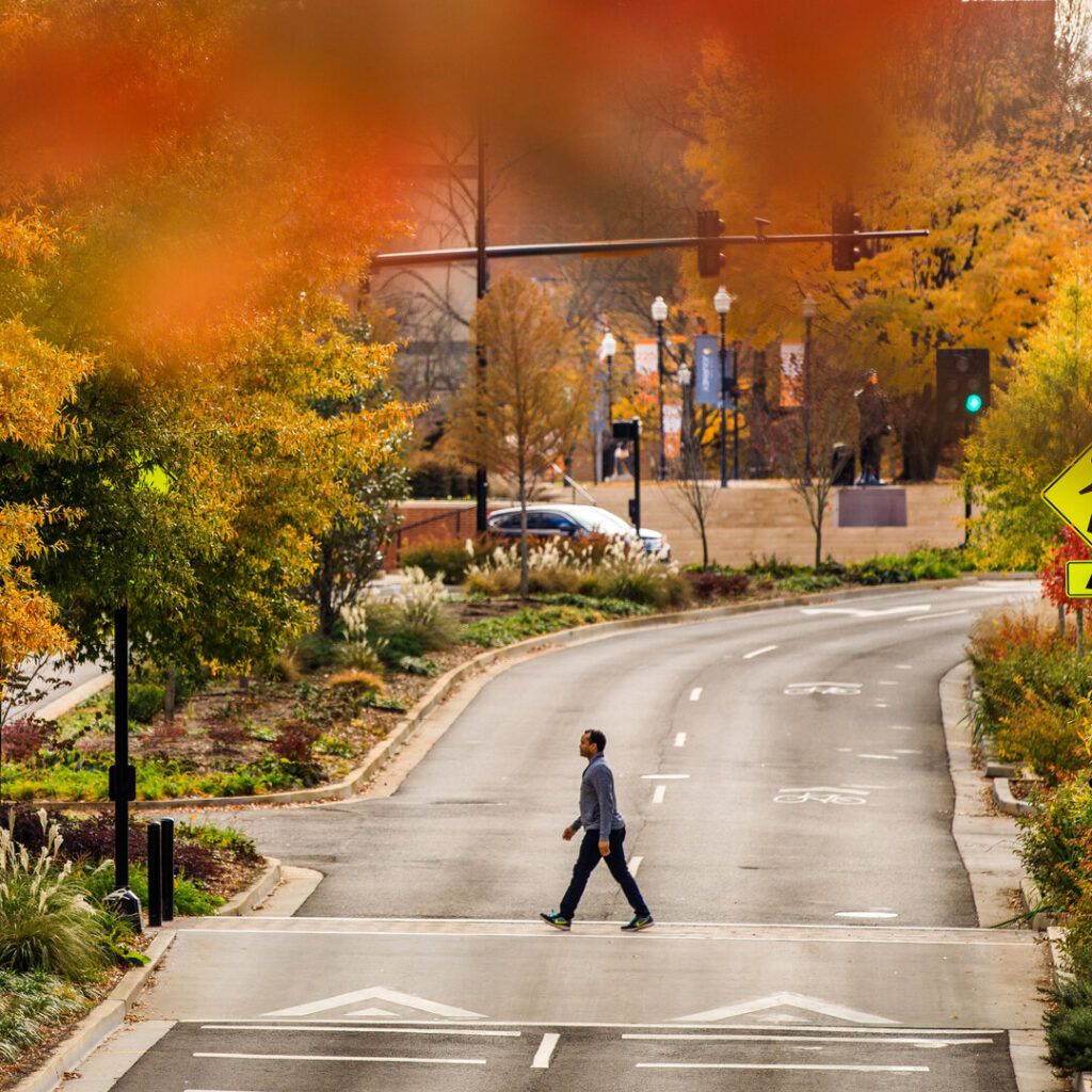 Volunteer Blvd during fall colors on November 20, 2019. Photo by Steven Bridges/University of Tennessee