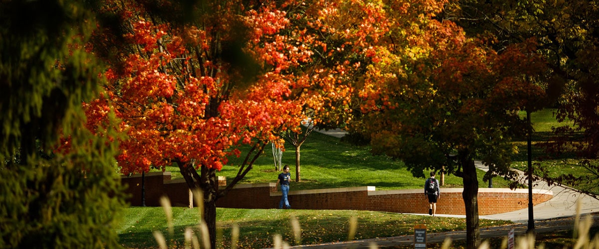 Students walk among the fall colors of The Hill on October 31, 2018. Photo by Steven Bridges