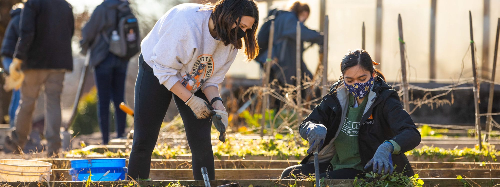 Students volunteer to work at Knoxville Botanical Garden