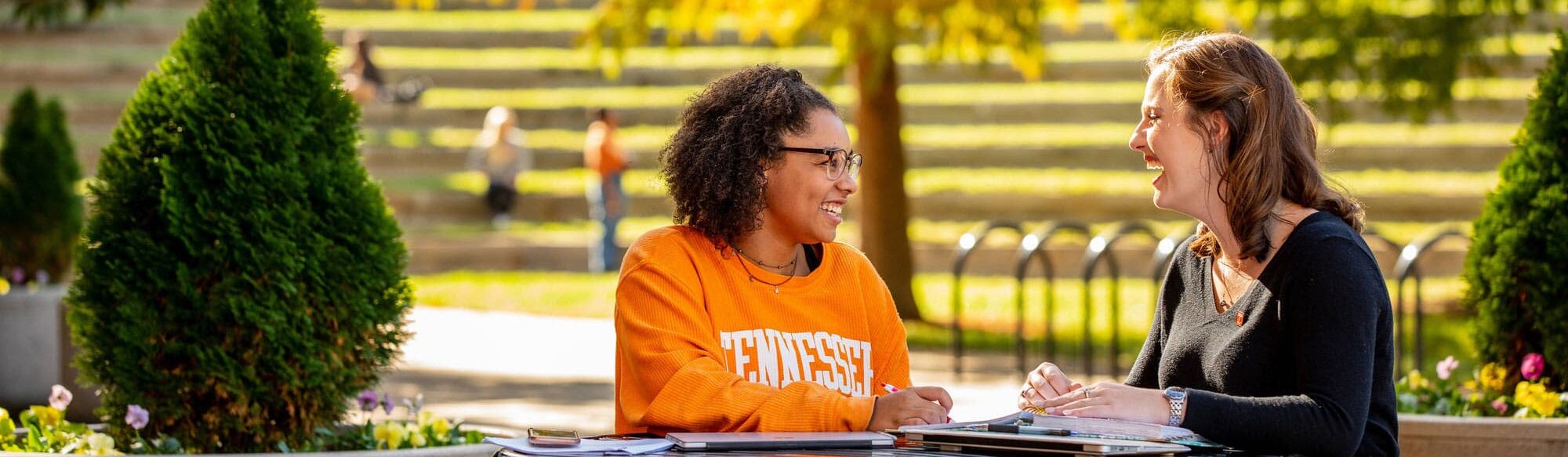 Students studying outdoors