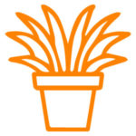 Orange graphic of a house plant in a pot. 