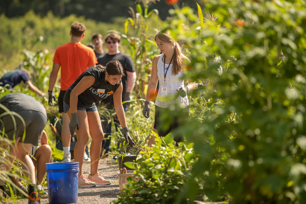 First-year students tend to plants at the UT Arboritum during an Ignite: 865 service excursion.