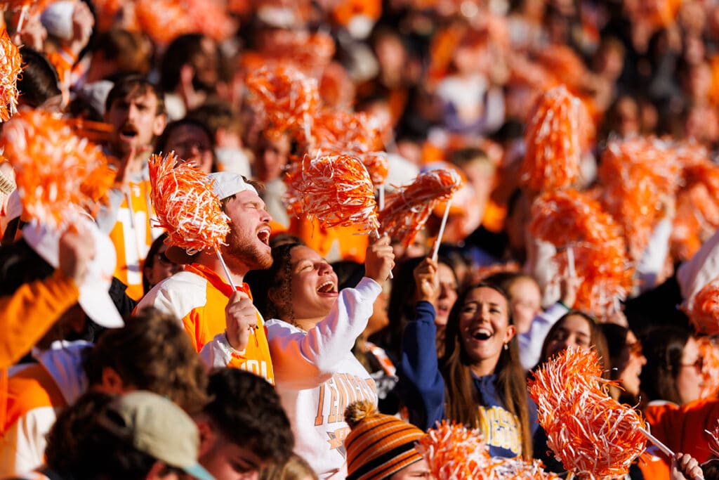 Fans cheer during the game.