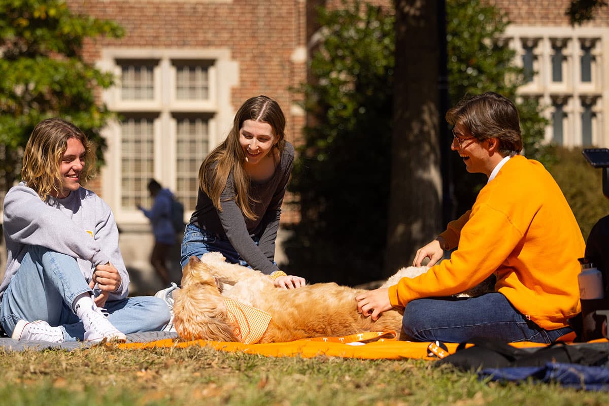 Students hangout on blankets with a dog on Ayres lawn.